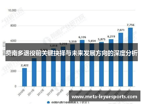 费南多退役前关键抉择与未来发展方向的深度分析