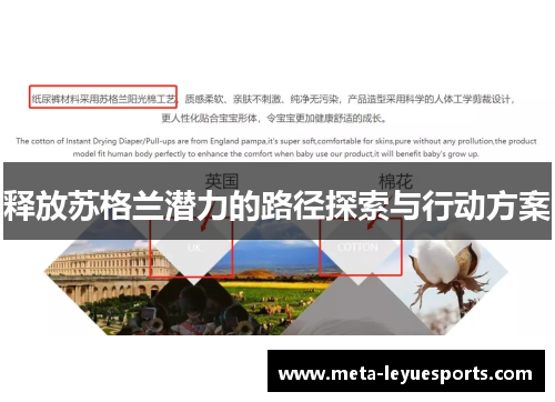 释放苏格兰潜力的路径探索与行动方案