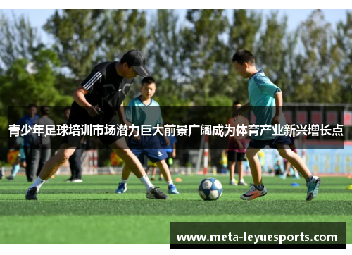 青少年足球培训市场潜力巨大前景广阔成为体育产业新兴增长点 青少年足球培训市场潜力巨大前景广阔成为体育产业新兴增长点