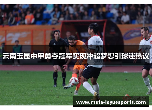 云南玉昆中甲勇夺冠军实现冲超梦想引球迷热议 云南玉昆中甲勇夺冠军实现冲超梦想引球迷热议
